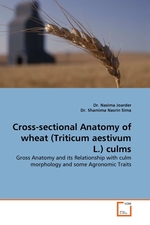 Cross-sectional Anatomy of wheat (Triticum aestivum L.) culms. Gross Anatomy and its Relationship with culm morphology and some Agronomic Traits