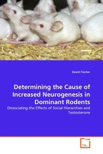 Determining the Cause of Increased Neurogenesis in Dominant Rodents. Dissociating the Effects of Social Hierarchies and Testosterone