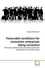 Favourable conditions for innovative enterprises being successful. Enhancing attributes for innovative enterprises based upon an empirical survey