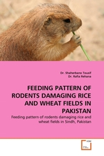 FEEDING PATTERN OF RODENTS DAMAGING RICE AND WHEAT FIELDS IN PAKISTAN. Feeding pattern of rodents damaging rice and wheat fields in Sindh, Pakistan
