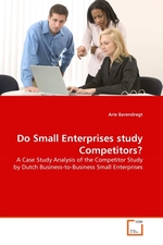 Do Small Enterprises study Competitors?. A Case Study Analysis of the Competitor Study by Dutch Business-to-Business Small Enterprises