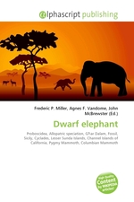 Dwarf elephant