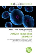 Activity-dependent plasticity