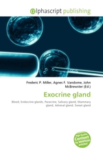 Exocrine gland