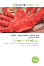 Coenobita Perlatus