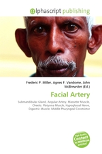 Facial Artery