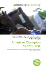 American Champion Sprint Horse