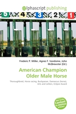 American Champion Older Male Horse