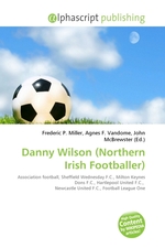 Danny Wilson (Northern Irish Footballer)