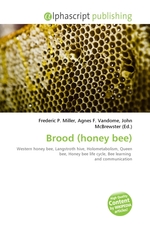 Brood (honey bee)
