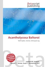 Acantholycosa Baltoroi