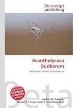 Acantholycosa Dudkorum