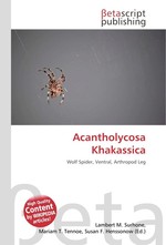 Acantholycosa Khakassica