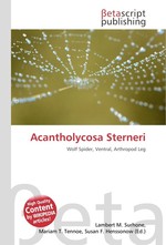 Acantholycosa Sterneri