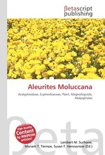 Aleurites Moluccana