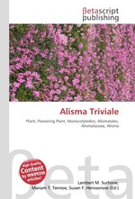 Alisma Triviale