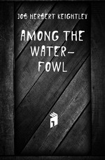 Among the water-fowl