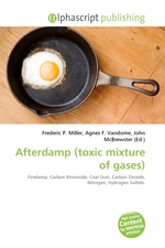 Afterdamp (toxic mixture of gases)