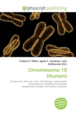 Chromosome 18 (Human)