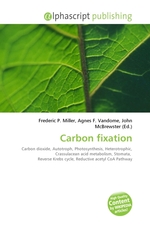 Carbon fixation