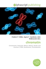 chromatin