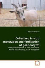 Collection, in vitro maturation and fertilization of goat oocytes. Embryo development, In vitro production, Animal Biotechnology, Goat, Bangladesh