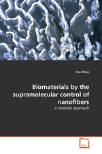 Biomaterials by the supramolecular control of nanofibers. a modular approach