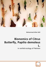 Bionomics of Citrus Butterfly, Papilio demoleus L. in rainfed ecology of Pakistan