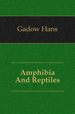 Amphibia And Reptiles