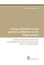 Energy demands during gamma oscillations in the hippocampus. A study of neuronal activity and mitochondrial function in hippocampal brain slice preparations