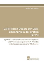 Calix[4]aren-Dimere zur DNA-Erkennung in der gro?en Furche. Synthese von k?nstlichen DNA-Rezeptoren und Untersuchung ihrer DNA-Affinit?t mittels spektroskopischer Methoden