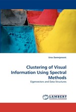 Clustering of Visual Information Using Spectral Methods. Eigenvectors and Data Structures