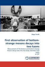 First observation of bottom-strange mesons decays into two kaons. Measurement of the bottom and bottom-strange mesons decay-rates into two-body charmless final states at CDF