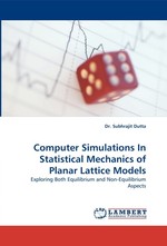Computer Simulations In Statistical Mechanics of Planar Lattice Models. Exploring Both Equilibrium and Non-Equilibrium Aspects