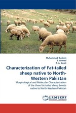 Characterization of Fat-tailed sheep native to North-Western Pakistan. Morphological and Molecular Characterization of the three fat-tailed sheep breeds native to North-Western Pakistan