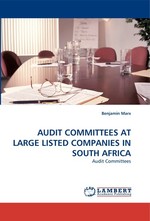 AUDIT COMMITTEES AT LARGE LISTED COMPANIES IN SOUTH AFRICA. Audit Committees