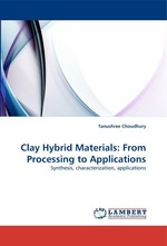 Clay Hybrid Materials: From Processing to Applications. Synthesis, characterization, applications