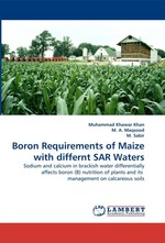 Boron Requirements of Maize with differnt SAR Waters. Sodium and calcium in brackish water differentially affects boron (B) nutrition of plants and its management on calcareous soils