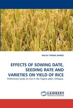 EFFECTS OF SOWING DATE, SEEDING RATE AND VARIETIES ON YIELD OF RICE. Preliminary study on rice in the Fogera plain, Ethiopia