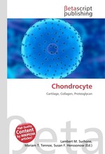 Chondrocyte