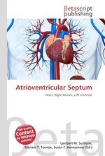 Atrioventricular Septum
