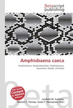 Amphisbaena caeca