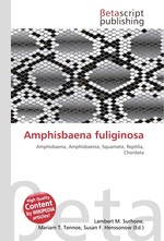 Amphisbaena fuliginosa