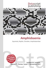 Amphisbaenia