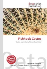 Fishhook Cactus