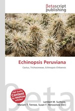 Echinopsis Peruviana