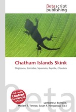 Chatham Islands Skink