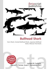 Bullhead Shark