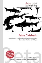 False Catshark
