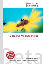 Bombus Vosnesenskii
